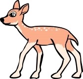 Gazelle Clip Art