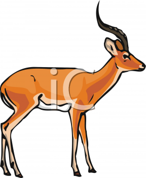 Gazelle Clip Art