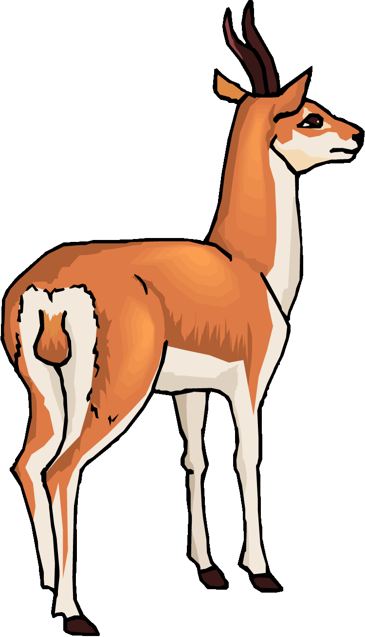 Gazelle Clip Art