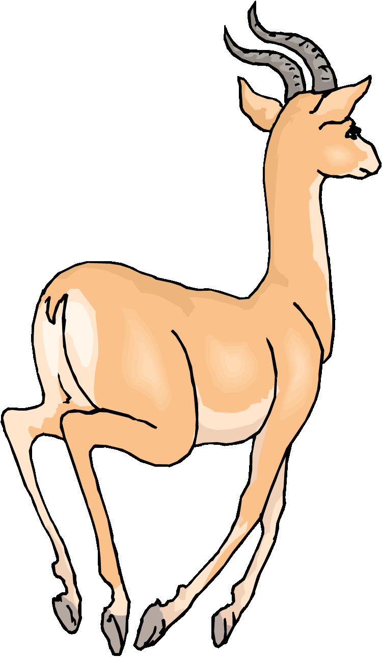 Gazelle Clip Art