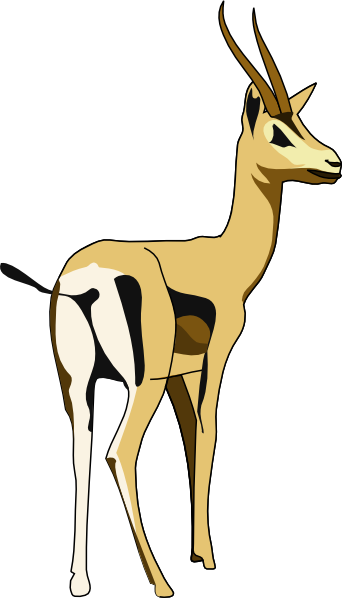 Gazelle Clip Art