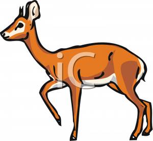 Gazelle Clip Art