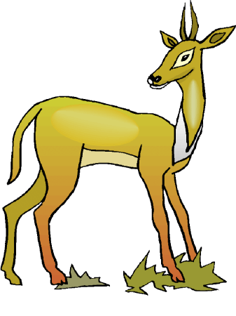 Gazelle Clip Art