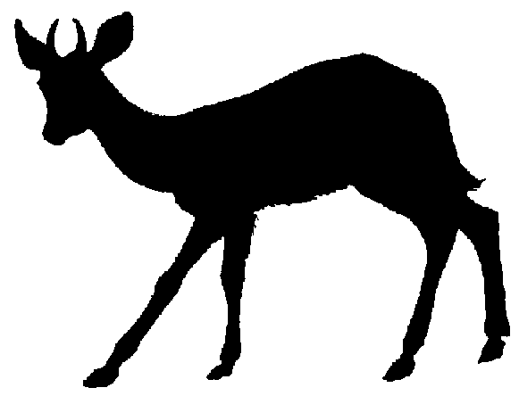 Gazelle Clip Art