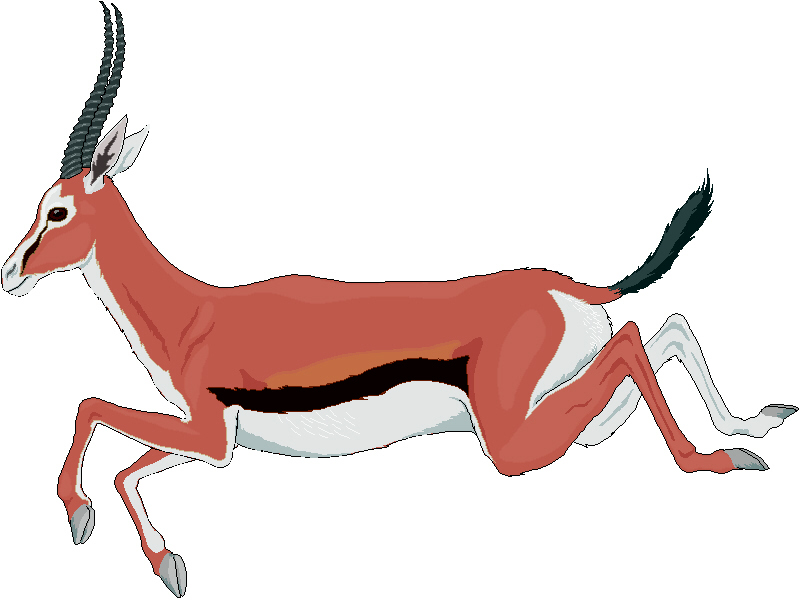 Gazelle Clip Art