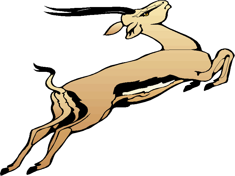 Gazelle Clip Art