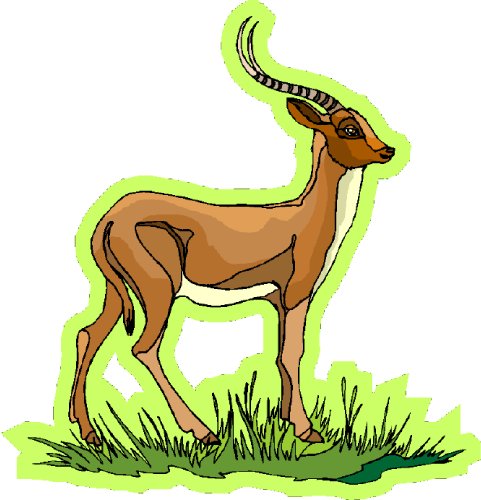 Gazelle Clip Art