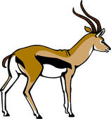 Gazelle Clip Art