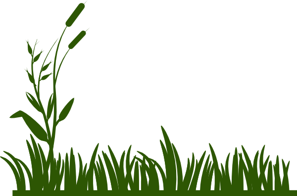 grass%20and%20flowers%20clipart