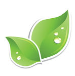 Leaves Clip Art