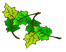 leaves clipart