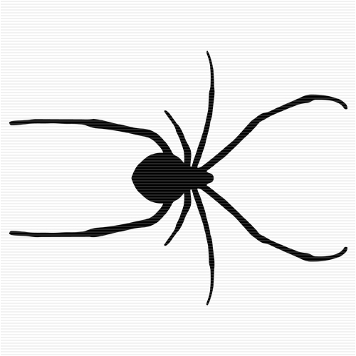 Spider Clipart