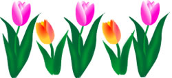 Spring Clip Art