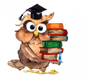 wise%20owl%20clipart