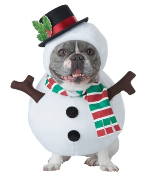 Dog Snowman Costume