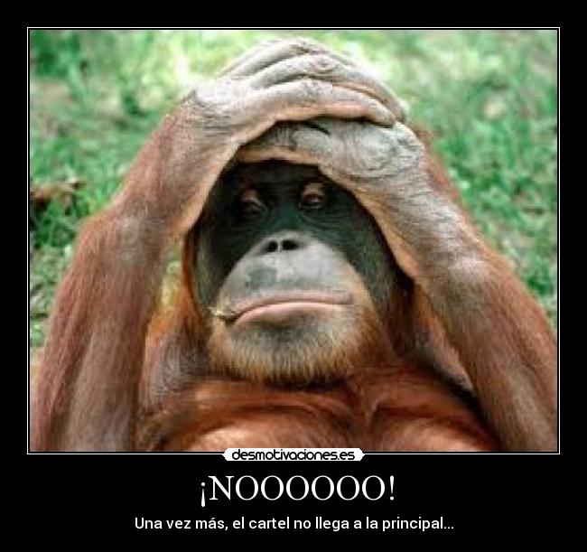 ¡NOOOOOO! - Una vez más, el cartel no llega a la principal...