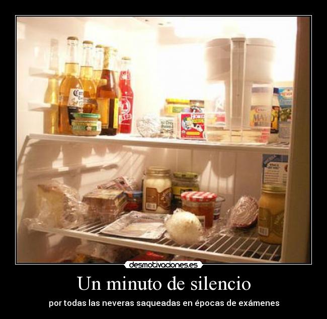 Un minuto de silencio - por todas las neveras saqueadas en épocas de exámenes