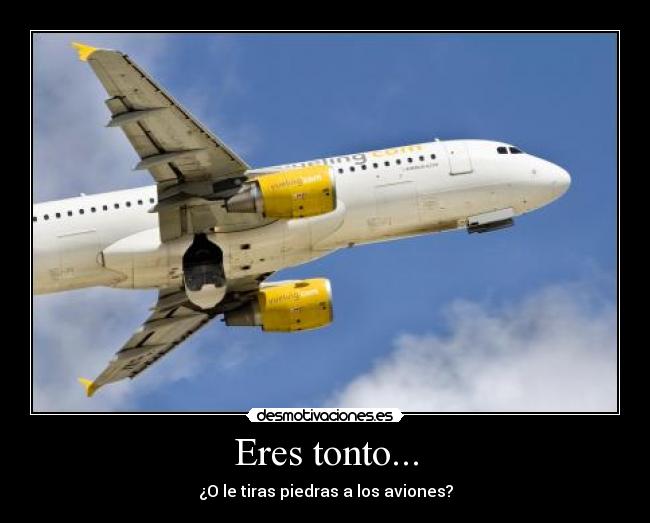 carteles tonto carteles estupidos descripcion grafica tonterias admitelo eres tonto piedras aviones jajaja tonto desmotivaciones