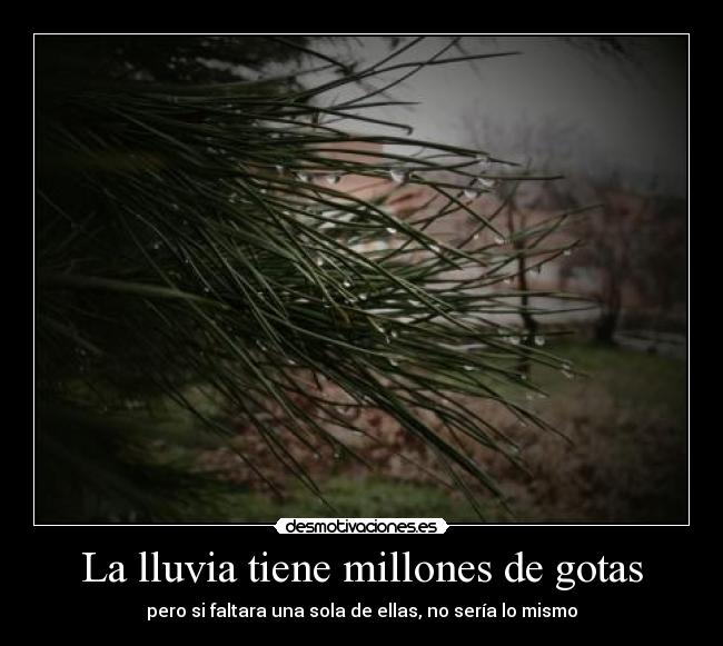 carteles lluvia tiene millones gotas sola mismo desmotivaciones