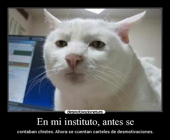 carteles desmotivaciones walt_k gatoscontaban chistes contar instituto desmotivaciones