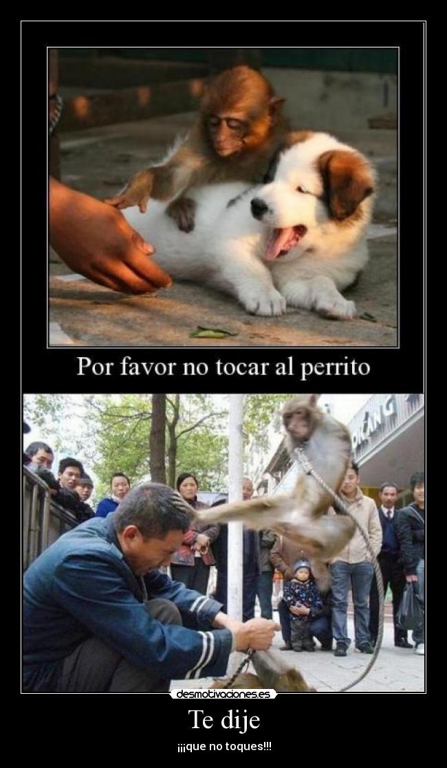 Te dije - ¡¡¡que no toques!!!