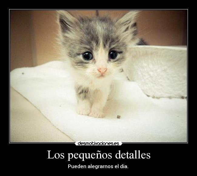carteles gemelos bill tom kaulitz nusa desmotivaciones