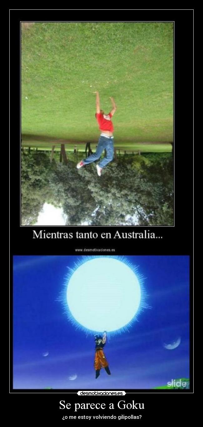 Se parece a Goku - ¿o me estoy volviendo gilipollas?
