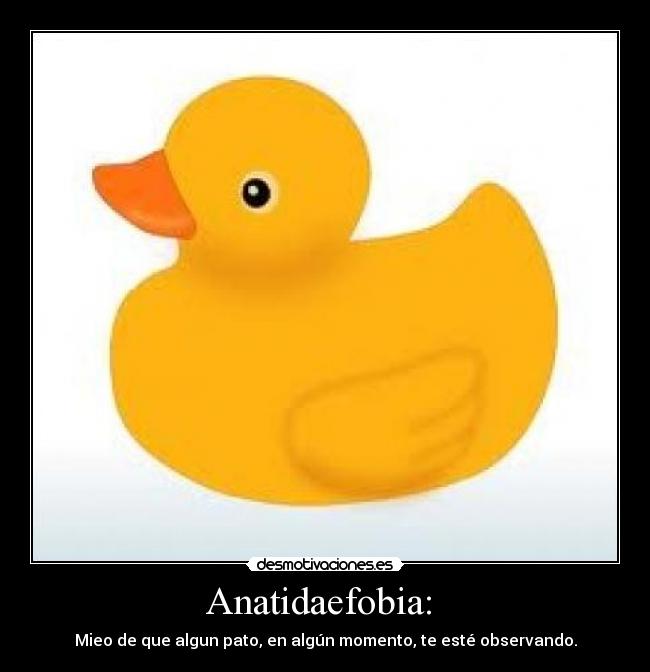 carteles anatidaefobia sexo desmotivaciones
