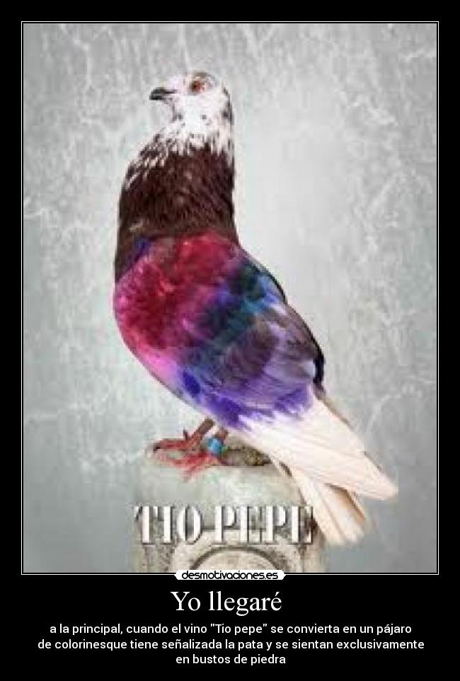 Yo llegaré  - a la principal, cuando el vino Tio pepe se convierta en un pájaro
de colorinesque tiene señalizada la pata y se sientan exclusivamente
en bustos de piedra