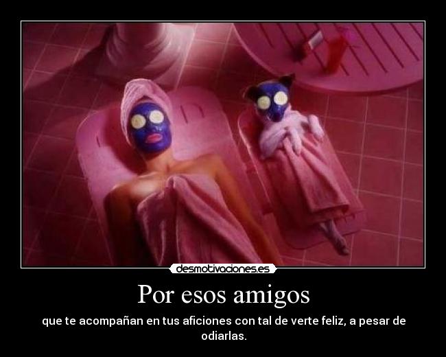 carteles amigos amistad desmotivaciones