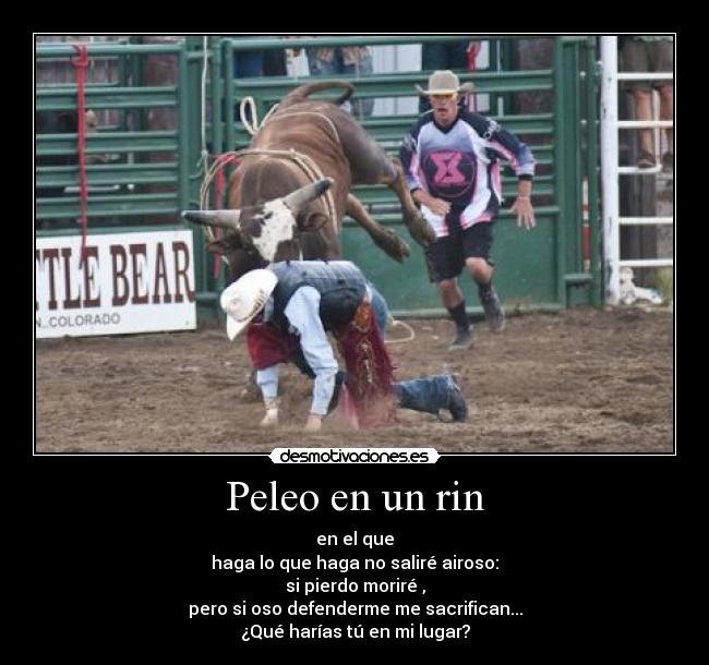 Peleo en un rin - en el que
haga lo que haga no saliré airoso:
si pierdo moriré ,
pero si oso defenderme me sacrifican...
¿Qué harías tú en mi lugar?