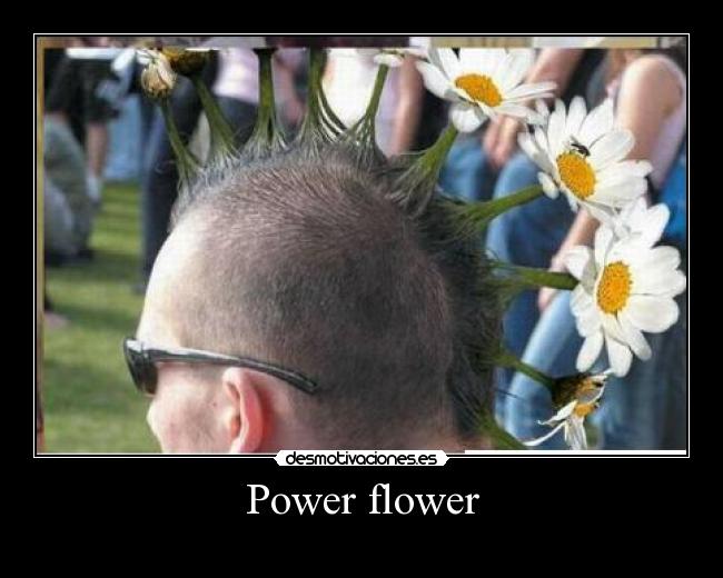 Power flower - 