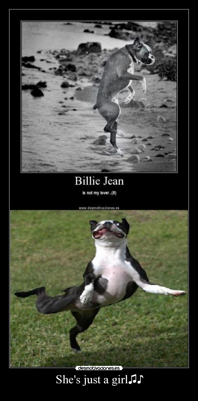 carteles perro michael jackson billy jean desmotivaciones