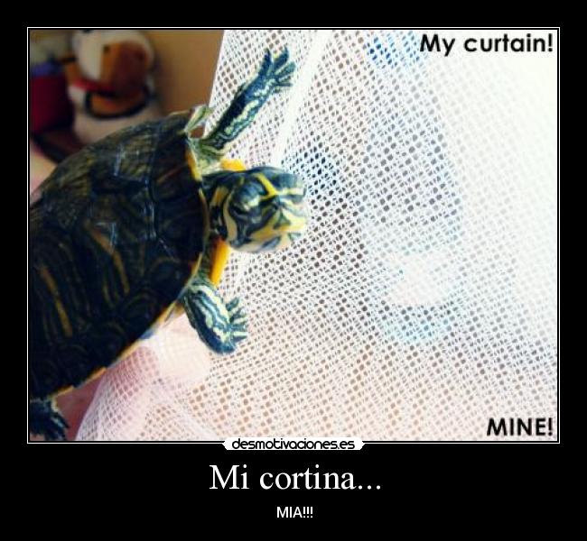 Mi cortina... - MIA!!!
