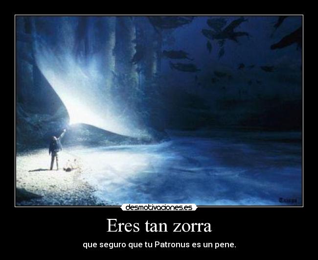 carteles patronus zorra pene perro desmotivaciones