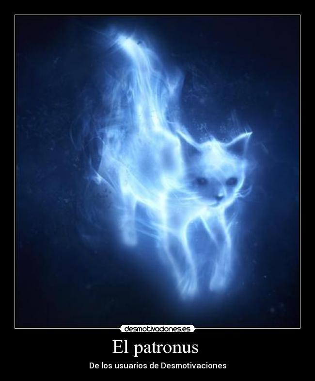 carteles patronus usuarios desmotivacioneswalt_k desmotivaciones