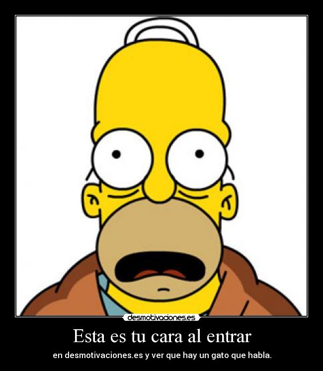 carteles hoy pienso tirarme una puta muchas cosas mas ostias que esto publico oo rily dunno desmotivaciones
