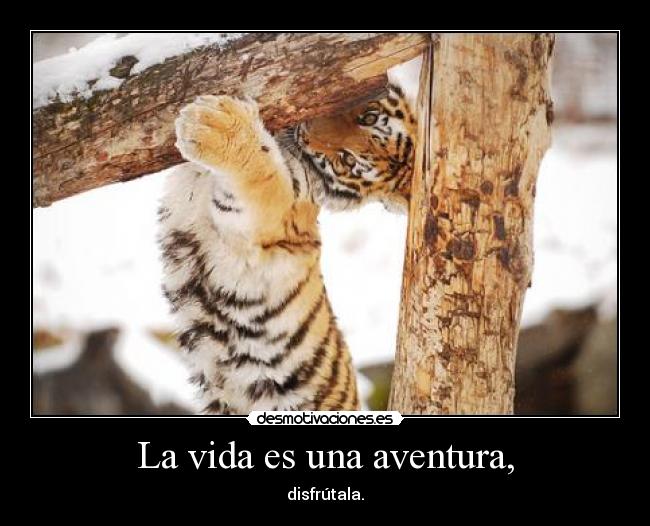 La vida es una aventura, - disfrútala.
