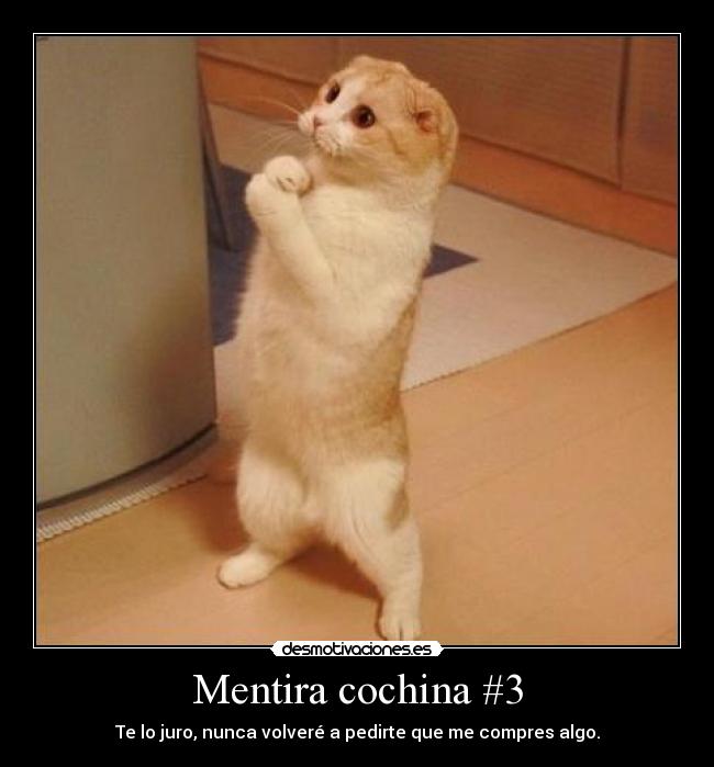 Mentira cochina #3 - Te lo juro, nunca volveré a pedirte que me compres algo.