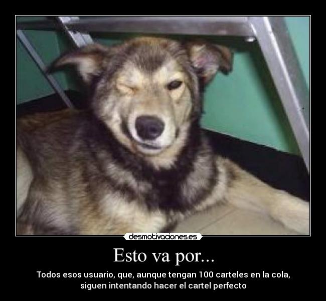 carteles dedicacion desmotivaciones usuarios gente guino felicitacion desmotivaciones