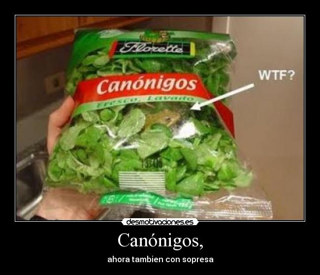 carteles jajaja lol lmfao ranas canonigos sexy desmotivaciones