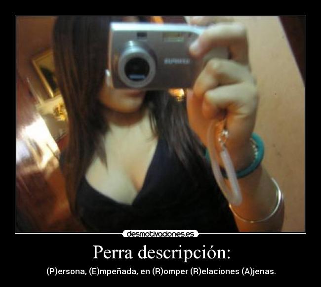 Perra descripción: - (P)ersona, (E)mpeñada, en (R)omper (R)elaciones (A)jenas.