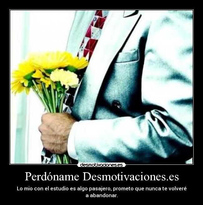 carteles perdon desmotivaciones estudio pasajero masuno desmotivaciones