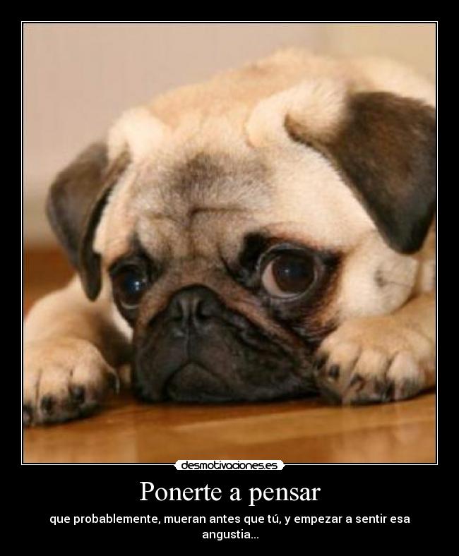 carteles ponerte pensar desmotivaciones