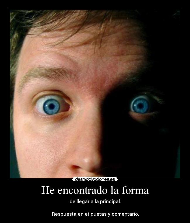 carteles gato gatos gatito gatitos minino mininos cat cats littlecat littlecats _resubido_ desmotivaciones