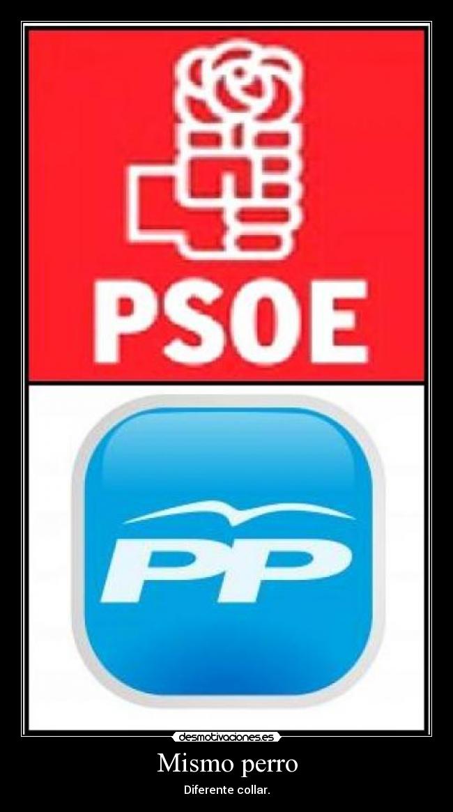 Mismo perro - Diferente collar.