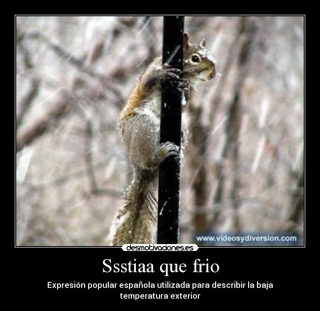 carteles ssstia que frio hostia ostia espresion popular utilizada para describir baja temperatura exterior desmotivaciones