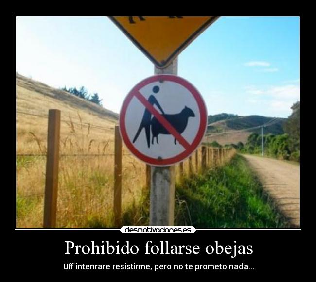 Prohibido follarse obejas - Uff intenrare resistirme, pero no te prometo nada...