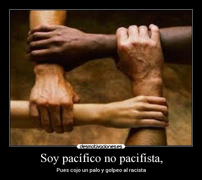 carteles golpeo racista desmotivaciones