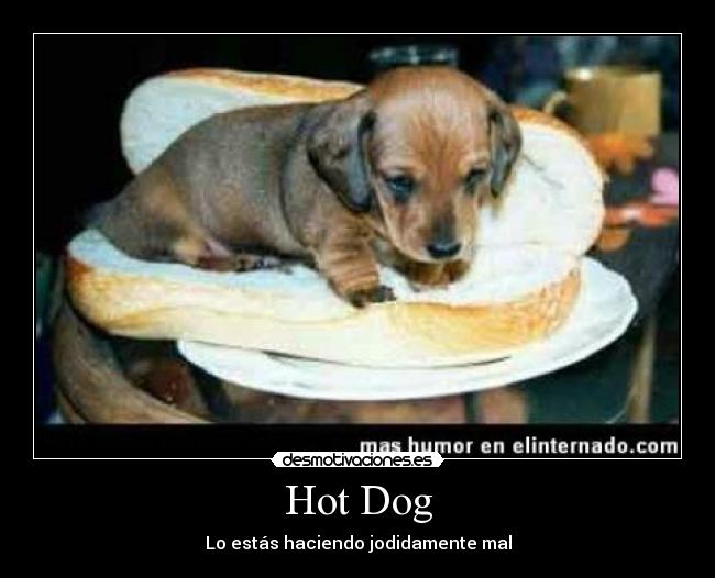 Hot Dog - Lo estás haciendo jodidamente mal